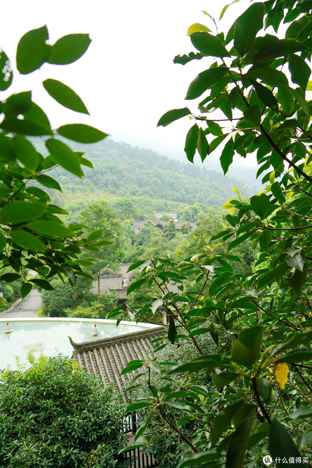 巴山夜雨涨秋池，重庆北碚悦榕庄