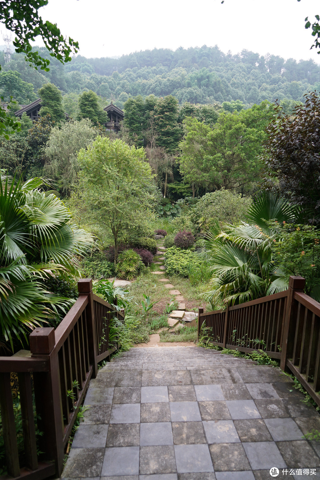 巴山夜雨涨秋池，重庆北碚悦榕庄