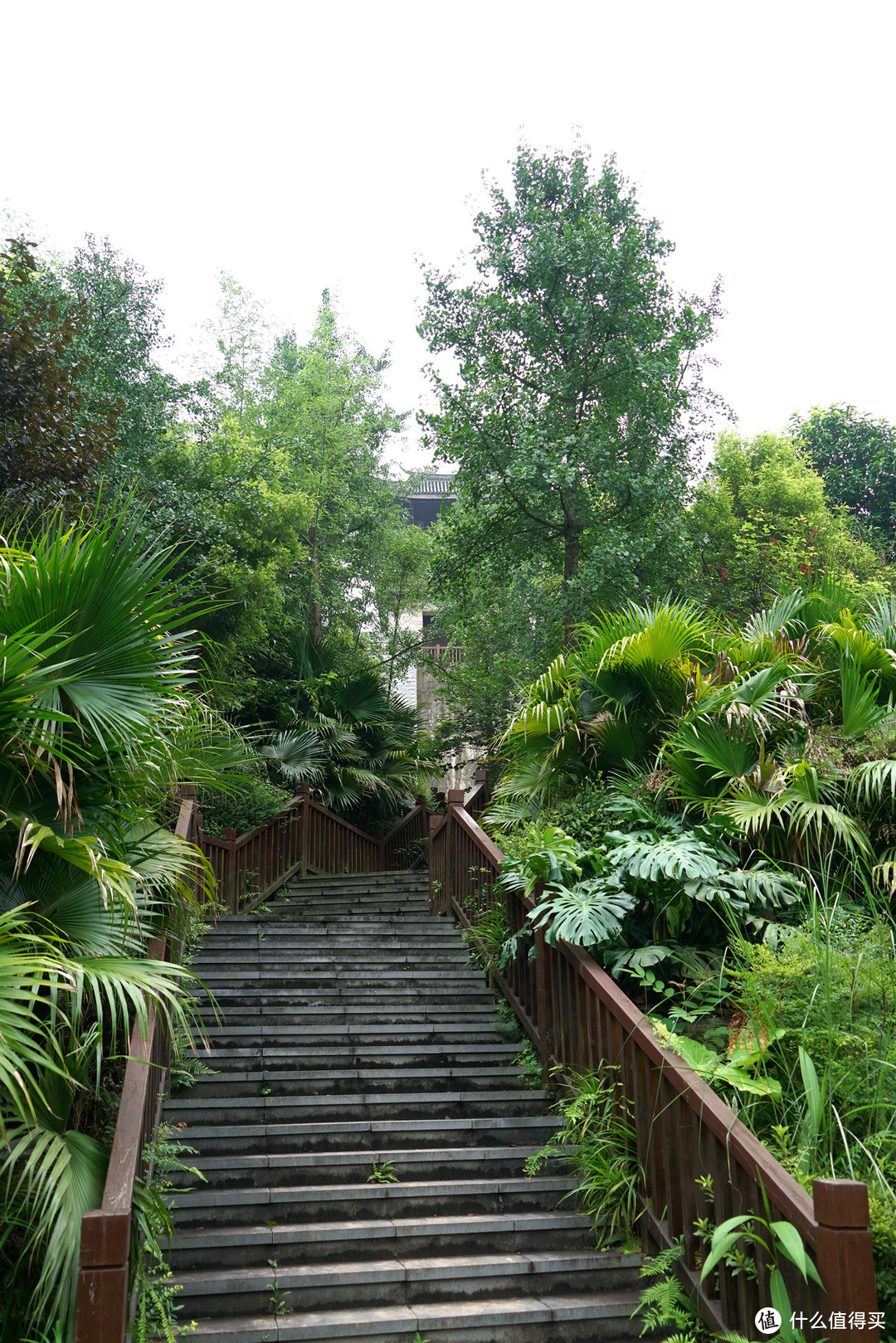 巴山夜雨涨秋池，重庆北碚悦榕庄