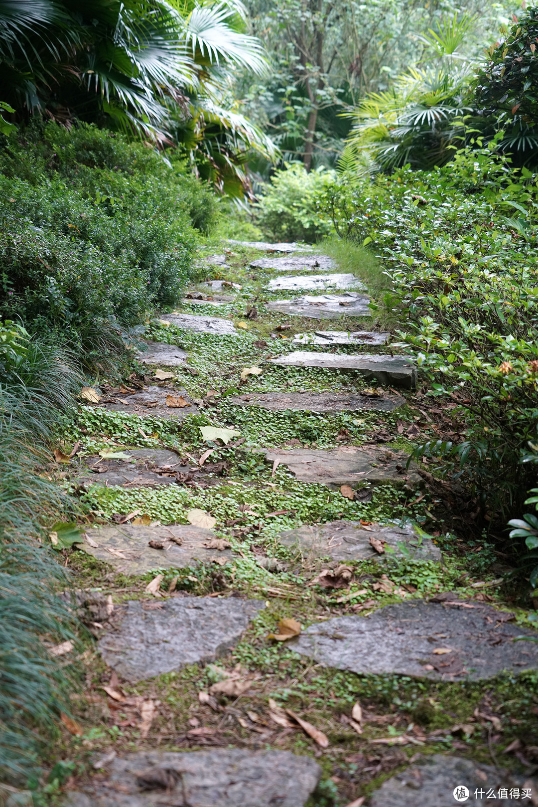 巴山夜雨涨秋池，重庆北碚悦榕庄