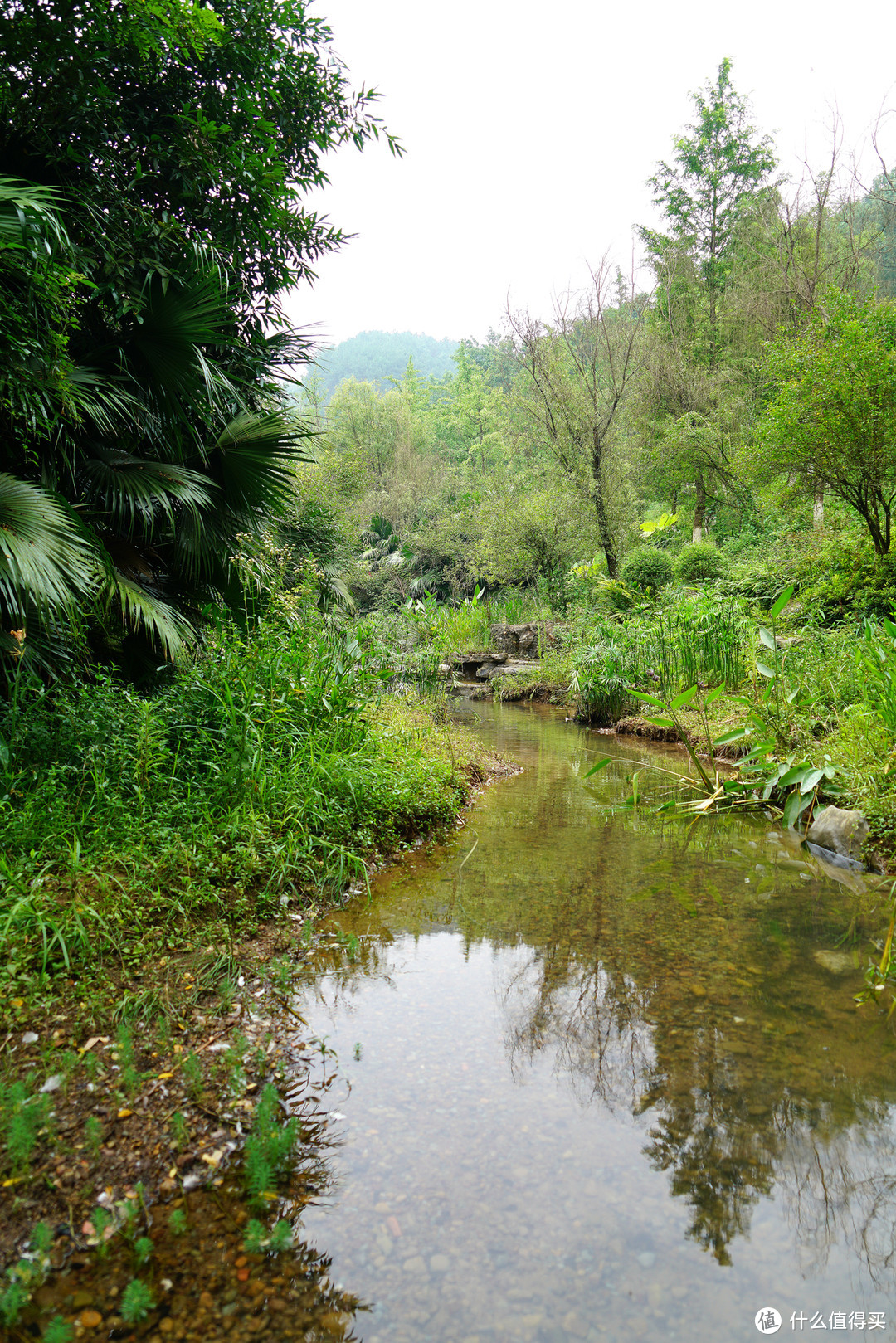 巴山夜雨涨秋池，重庆北碚悦榕庄