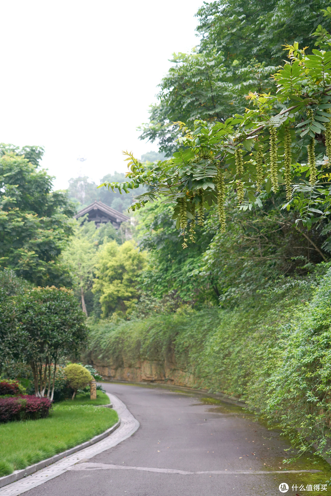 巴山夜雨涨秋池，重庆北碚悦榕庄