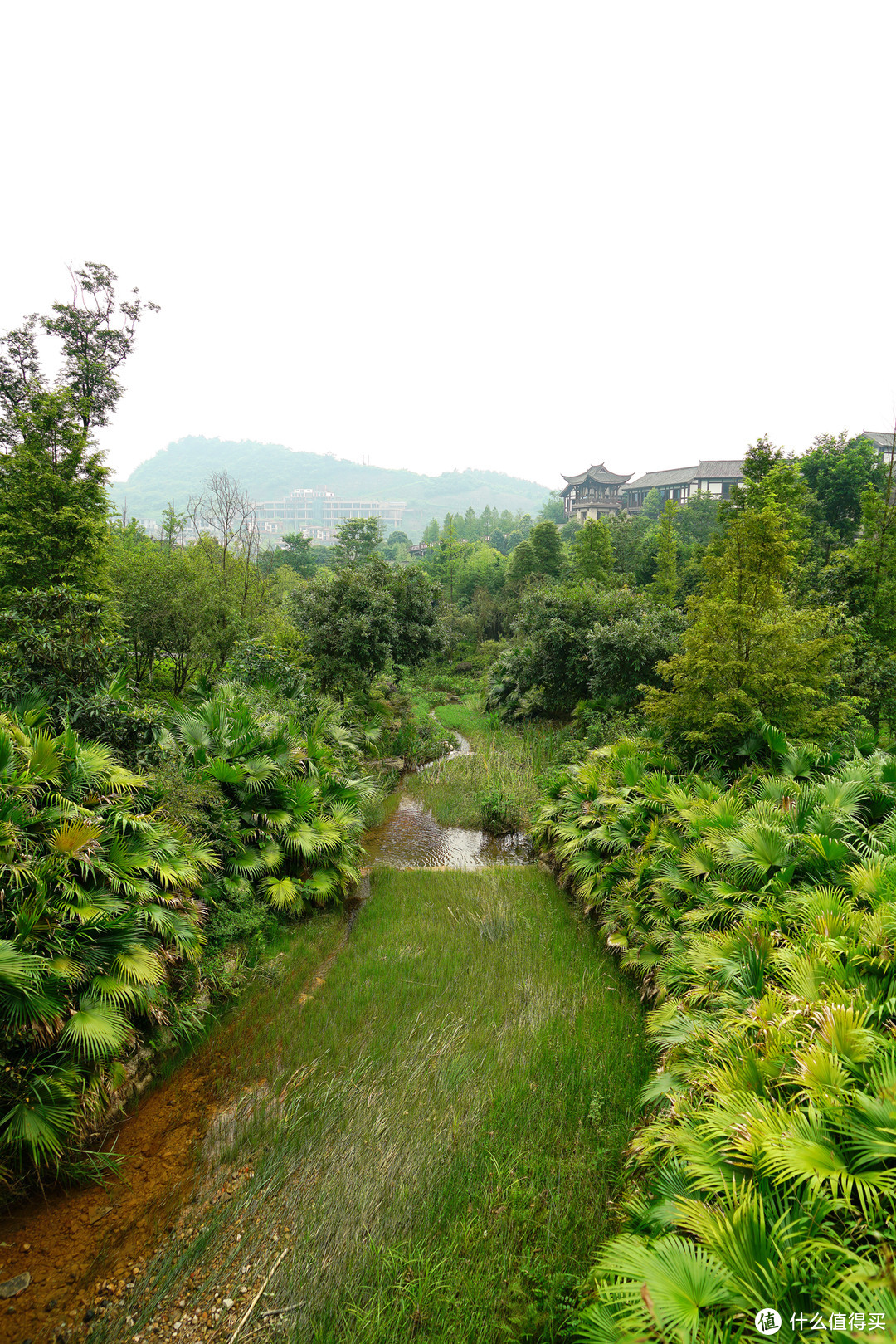 巴山夜雨涨秋池，重庆北碚悦榕庄