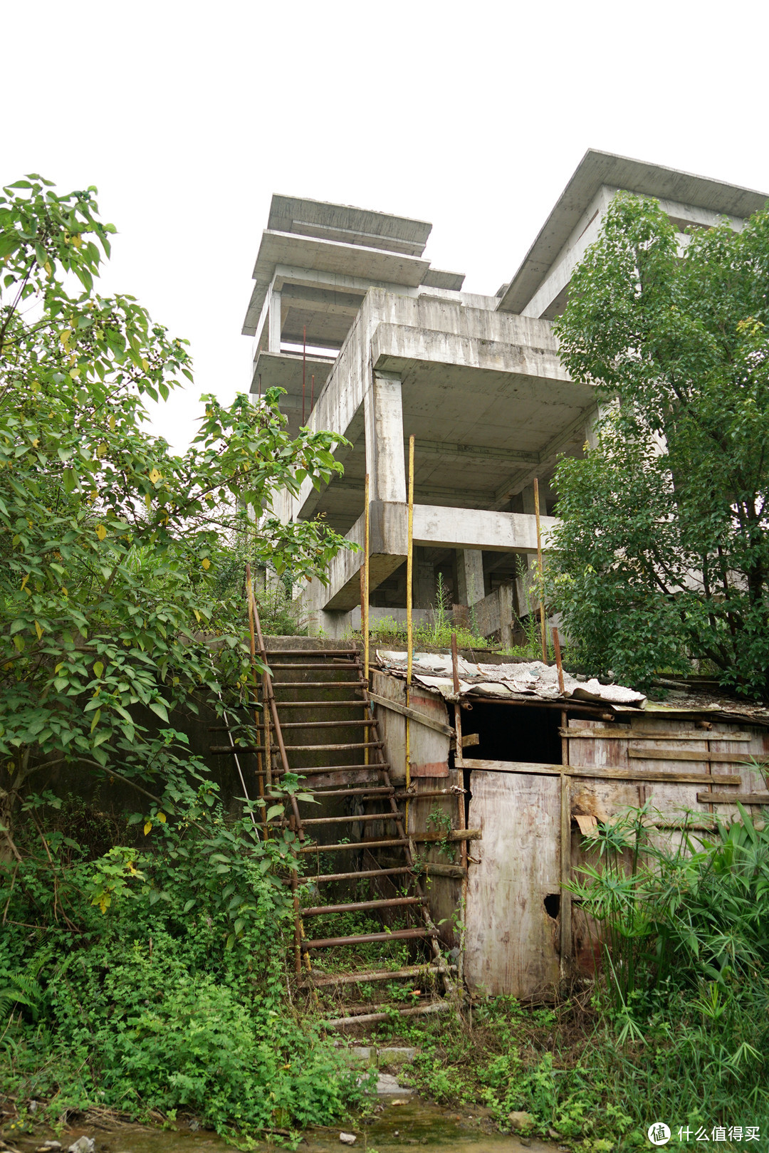 巴山夜雨涨秋池，重庆北碚悦榕庄