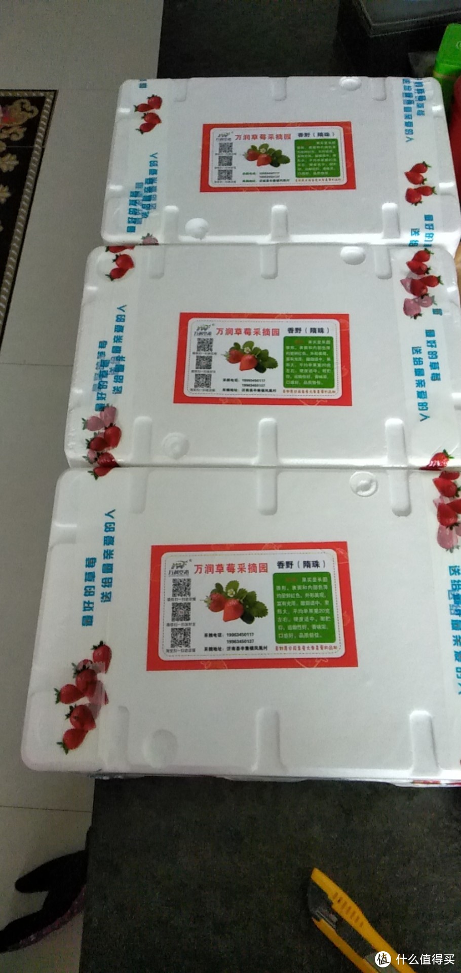 [个大而红]新鲜水果红颜草莓现摘孕妇水果非丹东草莓山东特产