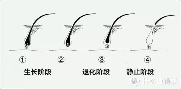 从成分分析到使用效果，亲测好用的10款超强防脱生发单品，秃头少女冲！