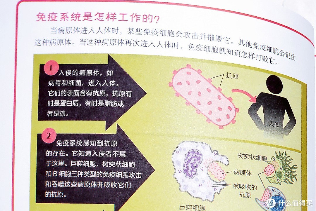 1+1＞2？！让自己和孩子加倍享受阅读快乐时光的12部童书