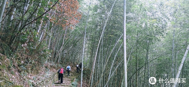 绍兴 · 萧绍古道 | 山阴道上行 如在画中游