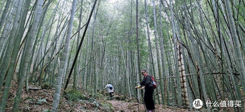 绍兴 · 萧绍古道 | 山阴道上行 如在画中游