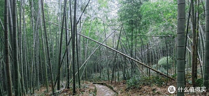 绍兴 · 萧绍古道 | 山阴道上行 如在画中游