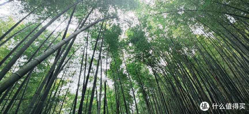 绍兴 · 萧绍古道 | 山阴道上行 如在画中游