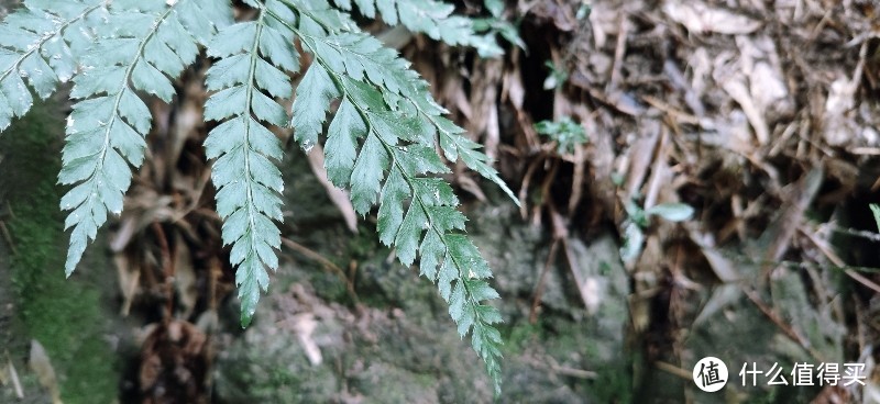 绍兴 · 萧绍古道 | 山阴道上行 如在画中游