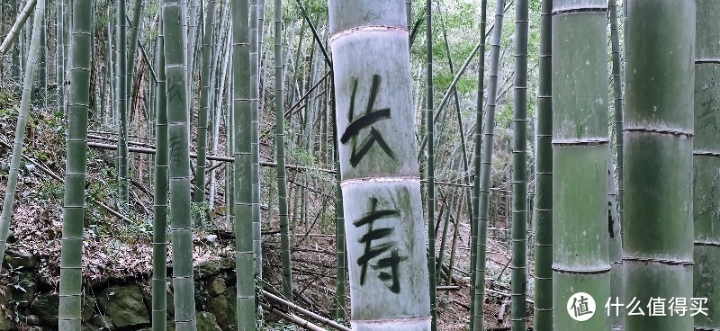 绍兴 · 萧绍古道 | 山阴道上行 如在画中游