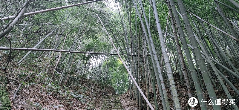 绍兴 · 萧绍古道 | 山阴道上行 如在画中游