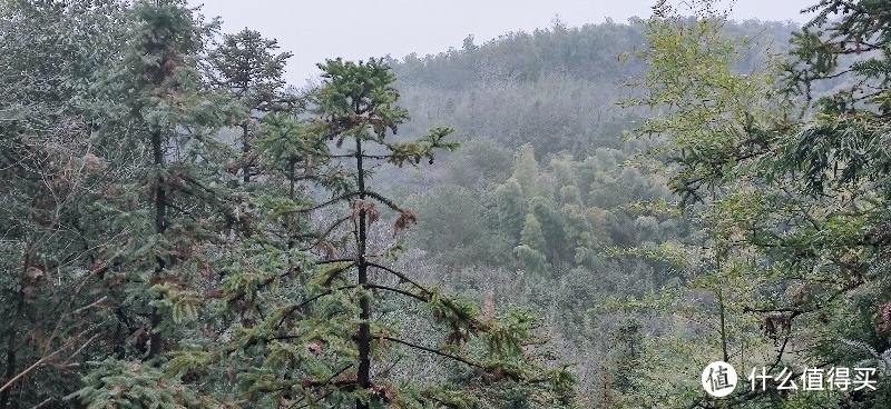 绍兴 · 萧绍古道 | 山阴道上行 如在画中游