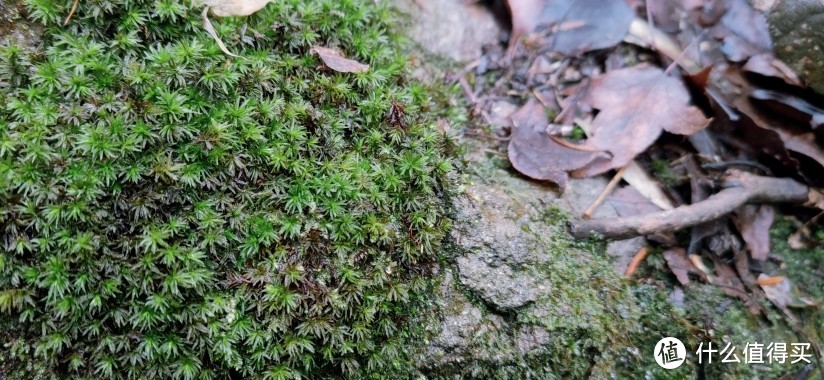 绍兴 · 萧绍古道 | 山阴道上行 如在画中游