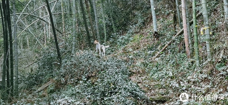 绍兴 · 萧绍古道 | 山阴道上行 如在画中游