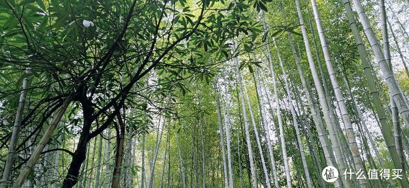 绍兴 · 萧绍古道 | 山阴道上行 如在画中游