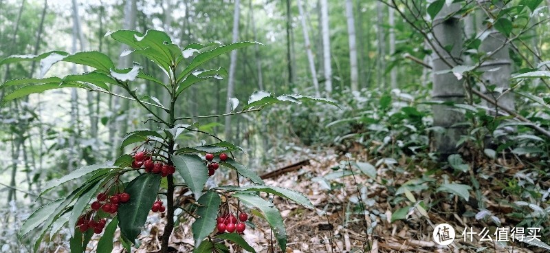 绍兴 · 萧绍古道 | 山阴道上行 如在画中游