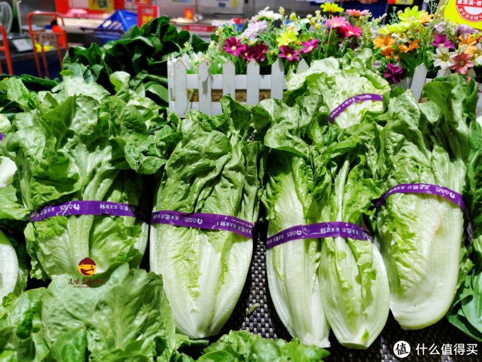 生菜除了有好寓意外,还是一种不错的蔬菜,清脆爽口,含有丰富的维生素