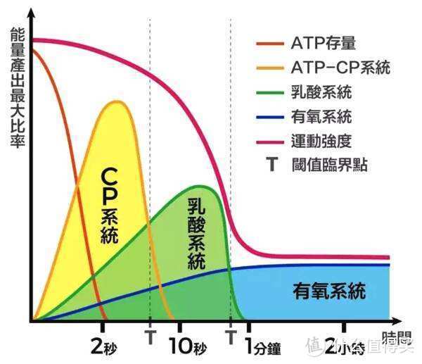 增肌多吃蛋白质就够了？并不是！糖原的重要性你不能忽略