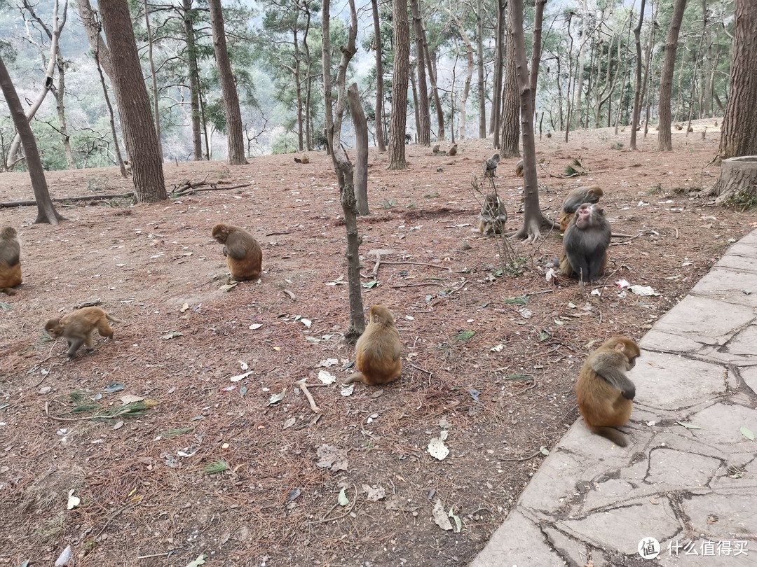 来贵阳怎么玩？怎么吃？这篇贵阳市不完全指南可能会帮到你——试吃试睡报告