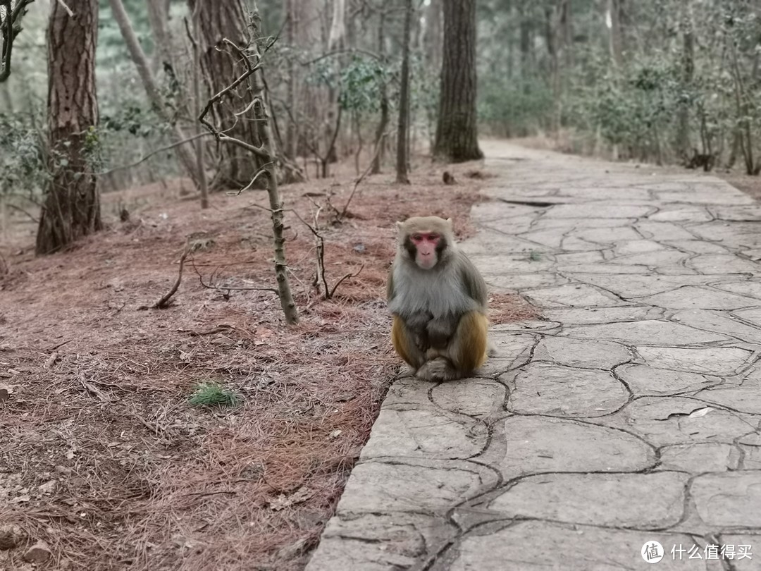 来贵阳怎么玩？怎么吃？这篇贵阳市不完全指南可能会帮到你——试吃试睡报告