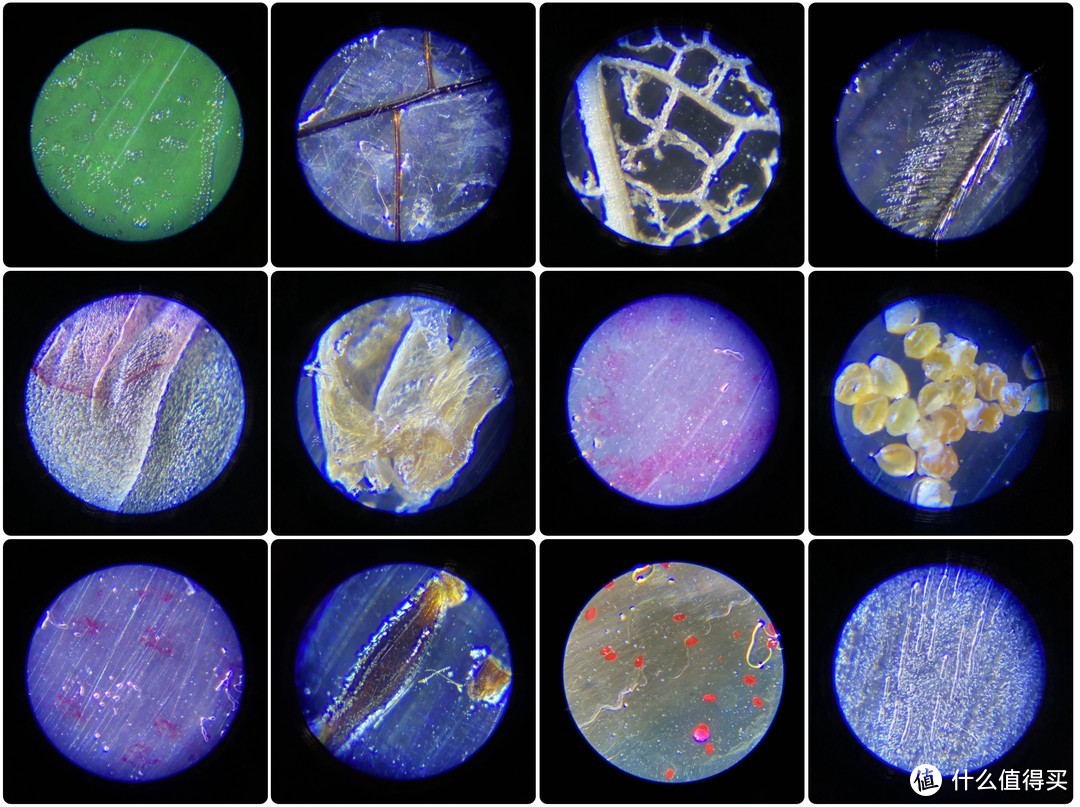 有意思的儿童显微镜，给孩子一块开启微观世界的敲门砖！