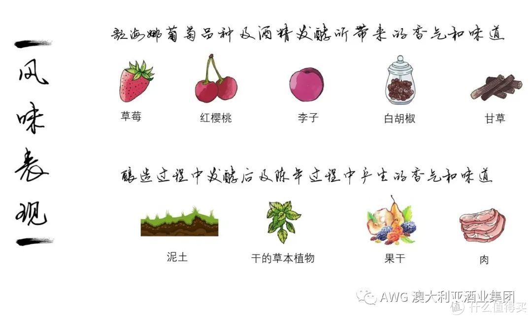 葡萄酒的100节课程 | 10-葡萄酒界的“红粉知己”——歌海娜