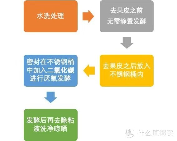 食客：扒皮？日晒？火烤？来自一颗咖啡豆的试炼