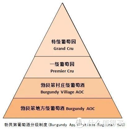 勃艮第依瑟索最贵葡萄酒TOP20，康帝：“还有比我贵的酒？”