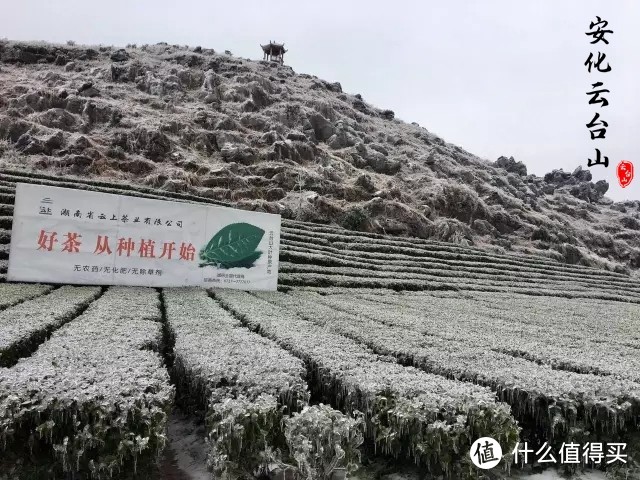 一个东北大汉在云台山风景区过冬的感受