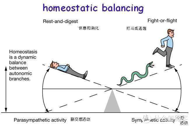 如何科学评估自己的运动表现和恢复？这个高效的方法你不能不知道