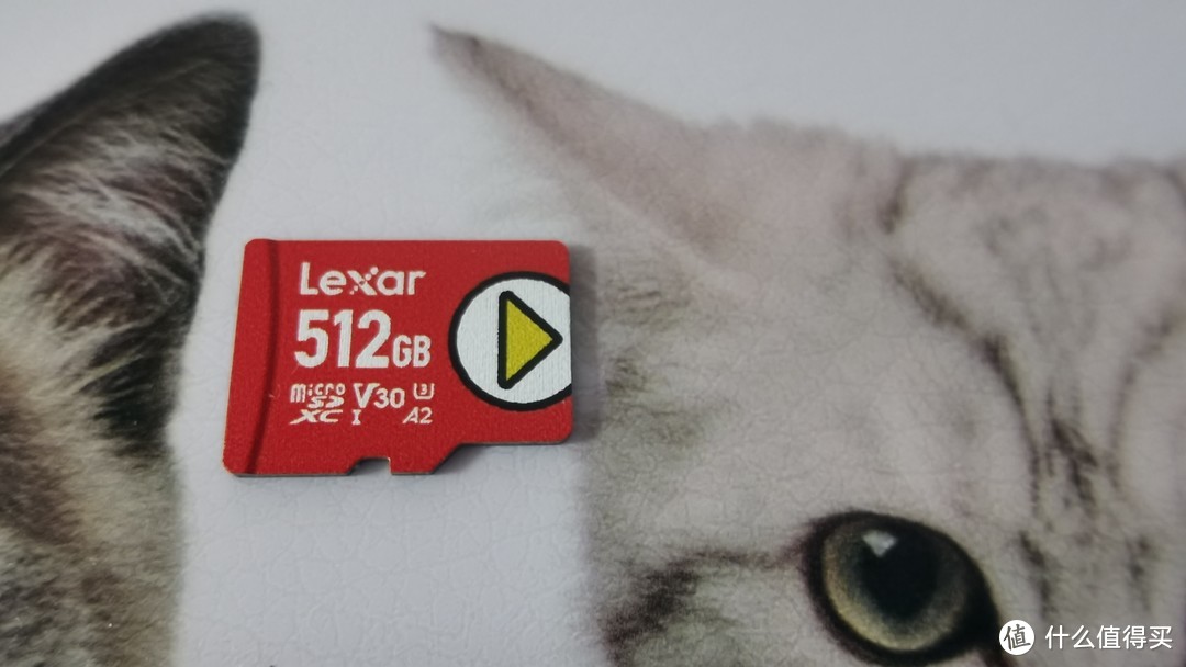 解毒：雷克沙（Lexar）PLAY microSDXC UHS-I 存储卡 512G 是否值买？