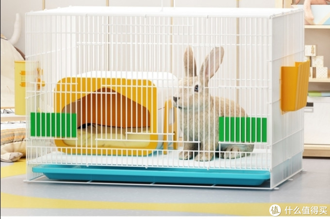 play评测篇九摄影器材中常说的兔笼是什么