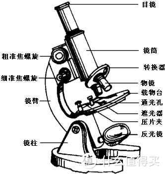 显微镜结构示意