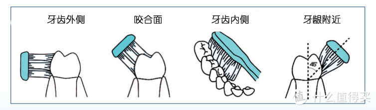 洁牙的正确工作与方法