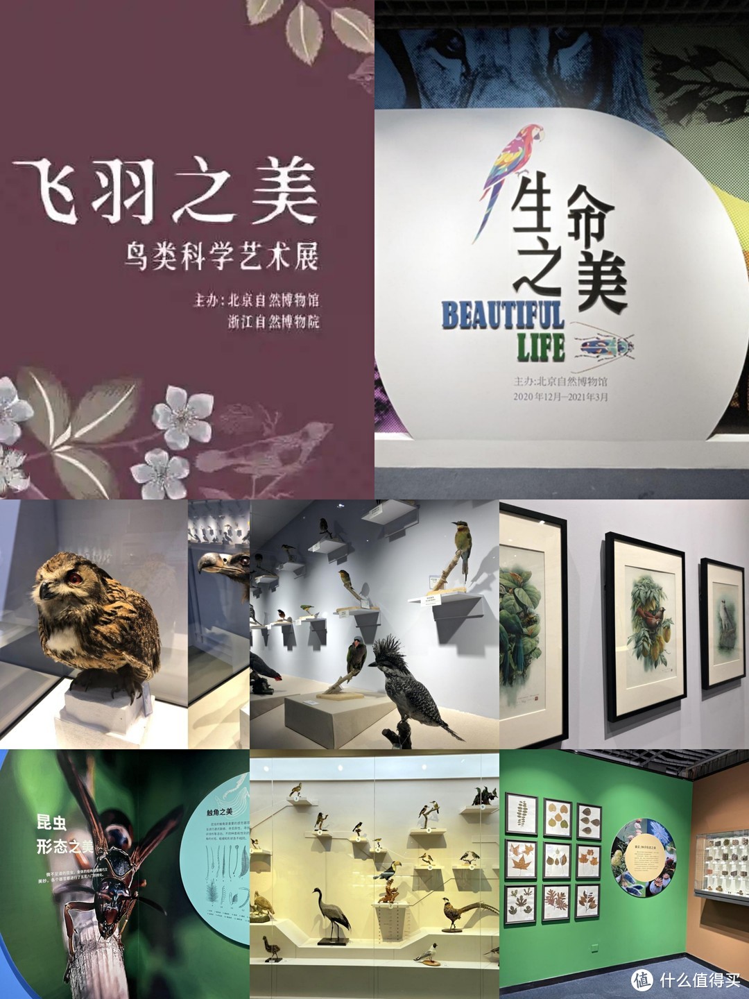 北京旅游2021展览活动大全北京春节看展攻略