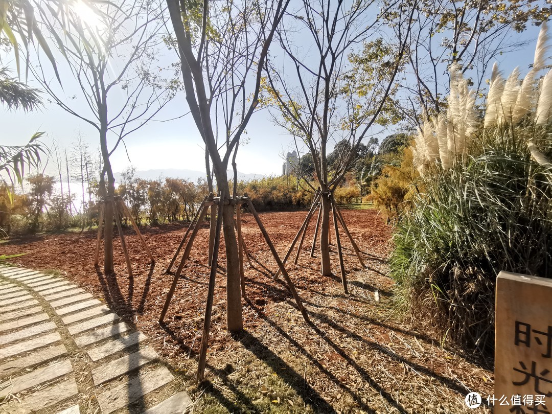 “琉璃万顷 ，月华如水”，云南抚仙湖希尔顿酒店的完美体验