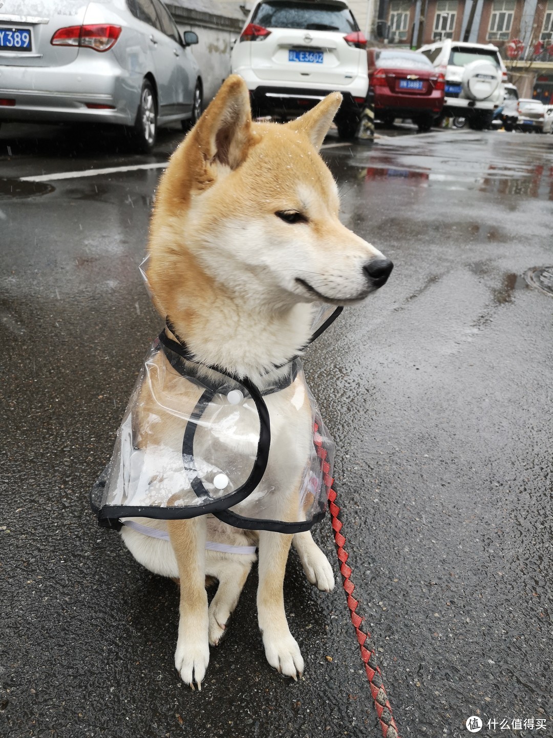 这是之前的透明雨衣，除了帅一无是处