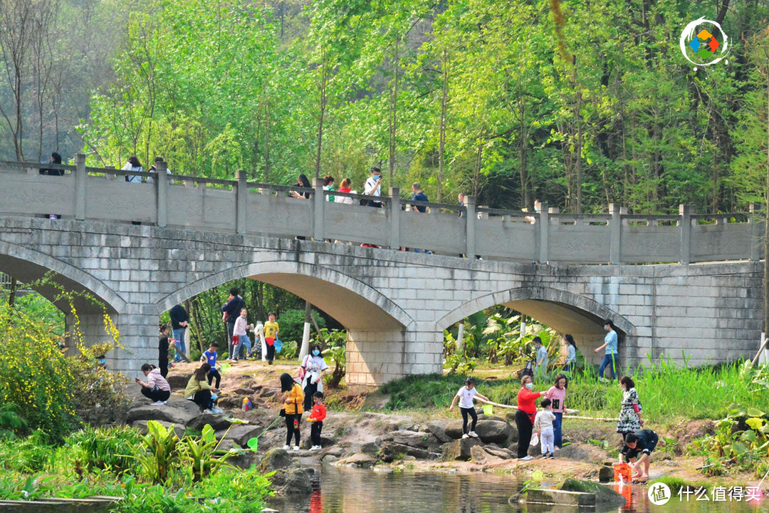 重庆湿地公园你不知道的事，超8成是国家级，很多区县一个都没有