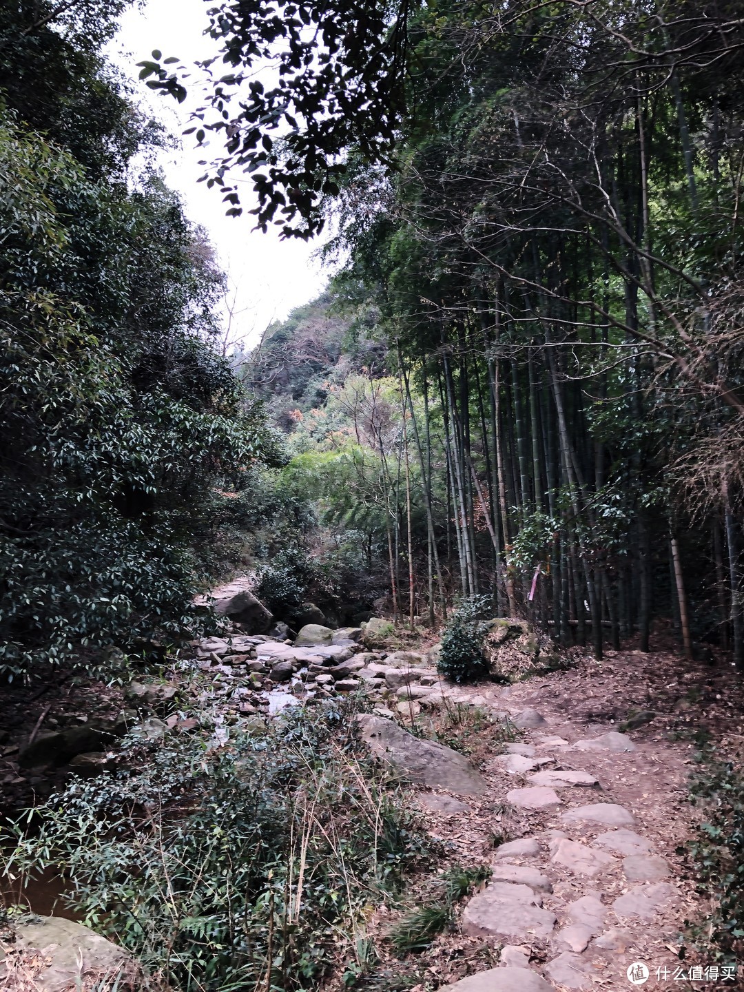 江浙沪凯悦刷房圣地：德清凯悦嘉轩酒店 & 周边游玩指南