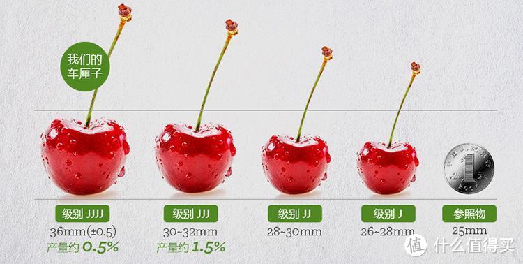 车厘子孰稳孰坑？自费超千元+试吃32斤，资深吃货为你推荐春节车厘子囤货应知要点