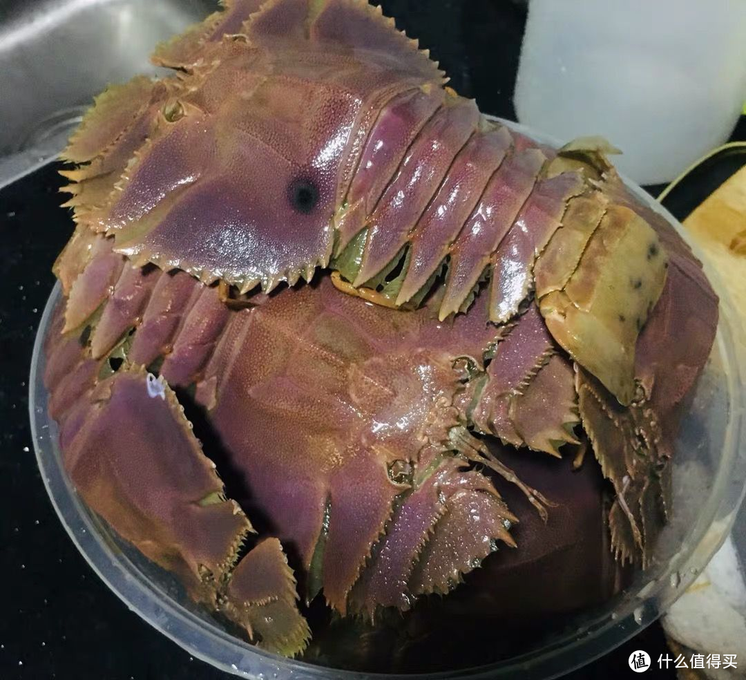 误认为是“龙虾”，250块买3斤，煮完一吃吓一跳