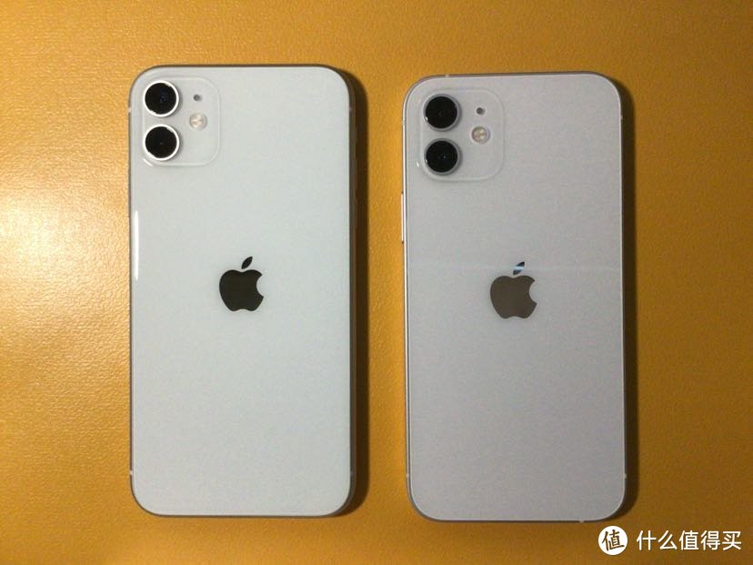 iPhone 11 & iPhone 12