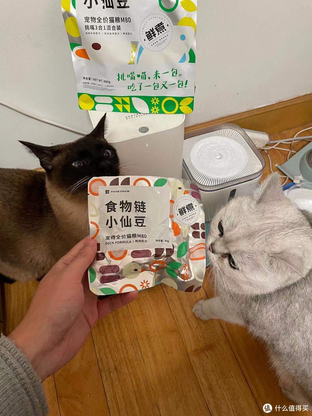 鲜煮猫粮，我家主子买不买账？