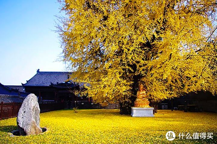 秋季旅游大赏丨走，我们一起邂逅“秋色”