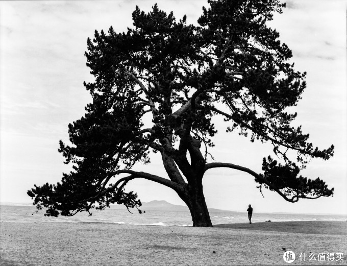 Bronica ETR系列中画幅胶片机镜头之:Zenzanon-PE 75mm F2.8