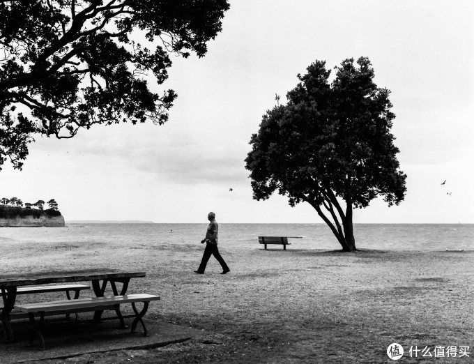 Bronica ETR系列中画幅胶片机镜头之:Zenzanon-PE 75mm F2.8