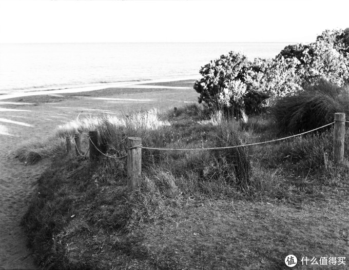 Bronica ETR系列中画幅胶片机镜头之:Zenzanon-PE 75mm F2.8